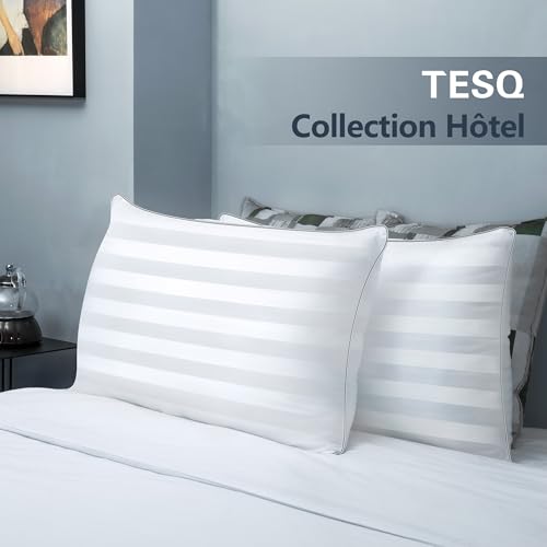TESQ Oreiller 60x60 cm - Oreillers Lot de 2 Luxe Hôtelier au Remplissage Amélioré, Confortable et Respirant Certifié Oeko-TEX, Idéal pour Dormeurs sur Le Côté, Le Dos et Le Ventre, Lavable