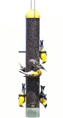 Amazon Com Perky Pet 399 Patented Upside Down Thistle Feeder