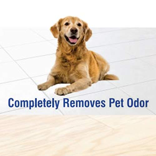 Multi Purpose Cleaner Pet Odor eliminator Floor Cleaner, Ocean Breeze
