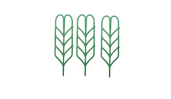 Tiansiangjjeu - Marco de Soporte para Plantas trepadoras (3 ...