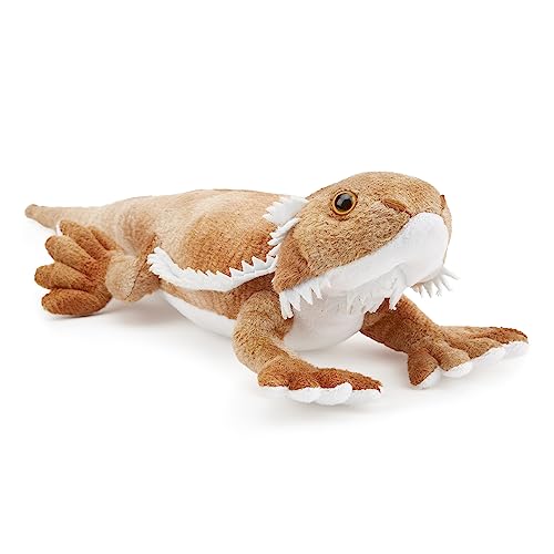 Bearded Dragon