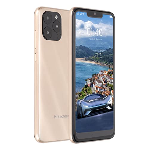 Bewinner IP13 Pro Max Unlocked Cell Phone, 6.1 Inch 3GB 32GB Dual Sim