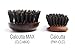 Calcutta Max – 100% Pure Calcutta Extra Stiff Wild Boar Bristle Hair Brush – Best Natural Hair Brush – Thick Hairbrush for Styling & Smoothing – Dark Maple Wood Handle – Made in Europe