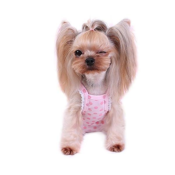 Diaper Dog Sanitary Pantie with Suspender - Image 2