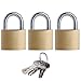 SEPOX® 3Pcs Pack Heavy-Duty Solid Brass Padlocks with Same Keys 4Pcs, Weather Proof Body 40mm 1-9/16