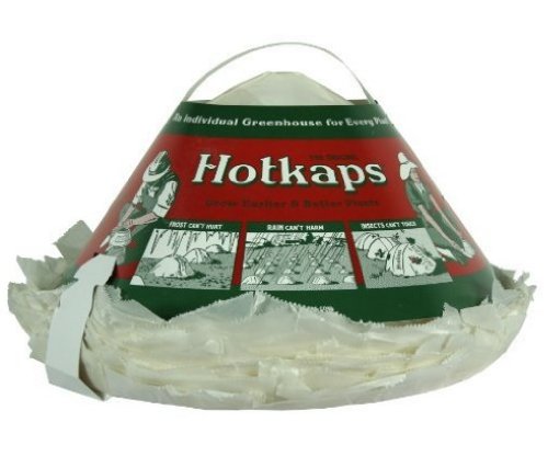 Hotkaps F-15K 9-Inch by 11-Inch King Individual Plant Greenhouse, 20-Count