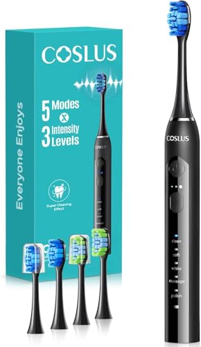 C30 professionelle elektrische Zahnbürste: Schallzahnbürste, 5 Modi & 3 Stufen, IPX7 wasserdicht, 30 Tage Akku, für Zuhause & Reise, mit 2 Bürstenkopf-Typen (U+W)