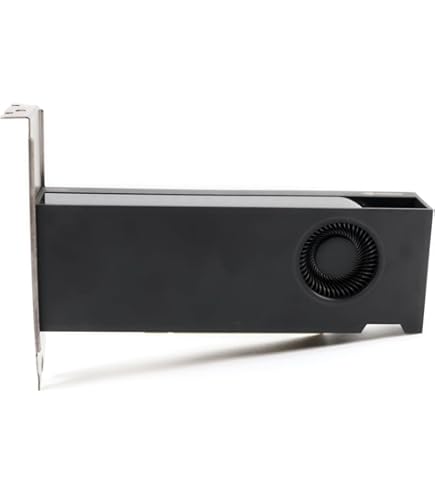 Amazon.com: PNY NVIDIA RTX A2000 6GB Professional Graphics