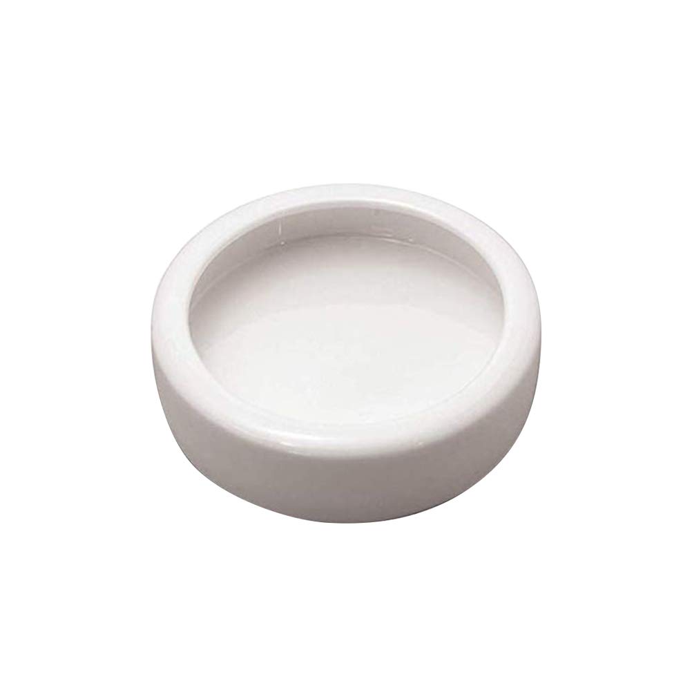 POPETPOP Reptile Food Dish Bowl, Worm Water Dish Small (3.74in) Lizard Gecko Ceramic Pet Bowls