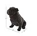 Deco Seventy-Nine Poly-Stone Bull Dog, 17 by 13-Inch