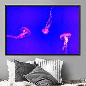 signwin Framed Canvas Wall Art Jellyfish Floating Colorful...