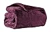 Sunbeam Heated Throw Blanket | Arctic Plush, 3 Heat Settings, Eggplant - TSA8TS-X402-13A00