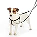 Freedom No-Pull Dog Harness Training Package, Large, Purple