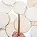 Unfinished Wood Circles 2 inch, 1/8 inch Thick, Pack of 100 Blank Tokens with Rustic Burnt Edges, Wood Discs for Crafts, by Woodpeckers