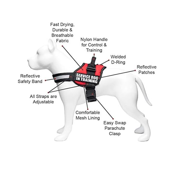 industrial puppy service dog harness