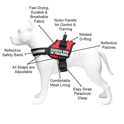 Industrial Puppy Service Dog Harness with 2 Reflective Service Dog in