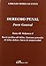 Derecho Penal. Parte General. Teoría jurídica del delito. Nociones generales. El delito doloso: Juicio de Antijuricidad (SIN COLECCION)