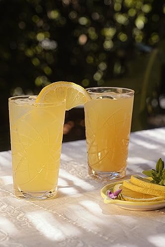 The Good Store Acrylic Premium Quality Plastic Unbreakable Decorated Water Tumbler | Set Of 6 Glasses | Reusable, Dishwasher Safe | Tall 8.2X14.3 CM Clear