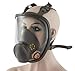 Holulo Full Face Facepiece Respirator Paint Spray Mask with 2 x Organic Vapor Cartridges