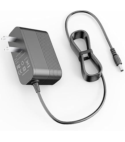 Amazon.com: IOKOFJOA 26V Charger for 22.2V Battery Vacuum Cleaner