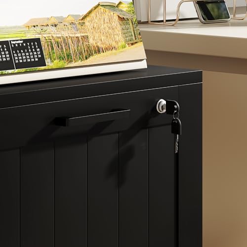 HOMCOM 2 Drawer File Cabinet with Lock, Vertical Filing Cabinet with Adjustable Hanging Bars for A4 and Letter Size File Folders, Printer Stand with Storage for Home Office, Black