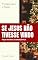 Livro PEÇA TEATRAL SE JESUS NÃO TIVESSE VINDO: Versão para o Natal