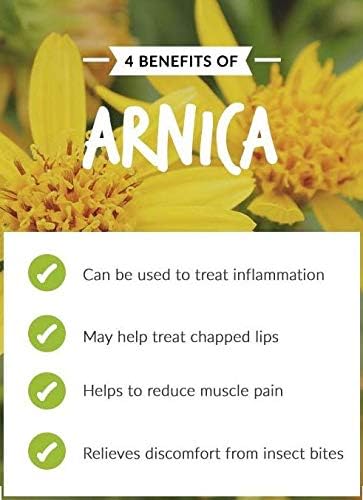 Arnica (Arnica Montana) Essential Oil by Salvia Bottle 100% Natural Undiluted Premium Oil (30 ml), Amber, 30 ml (Pack of 1) - Image 3