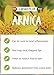 Arnica (Arnica Montana) Therapeutic Essential Oil by Salvia Amber Bottle 100% Natural Uncut Undiluted Pure Cold Pressed Aromatherapy Premium Oil - 30ML/ 1.1fl oz