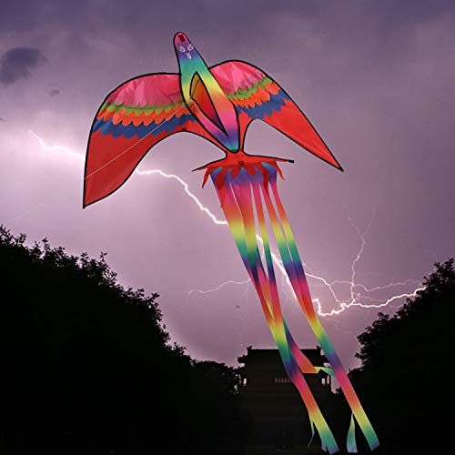 image for ZS-Juyi Beginner Phoenix Kites 86x 57Inch for Kids and Adults Bird Kit