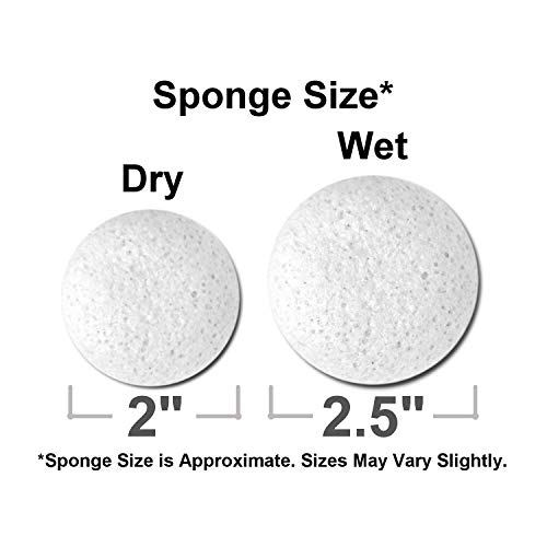 Konjac Body Sponge (6 Pack) Individually Wrapped MultiPack Pure (White