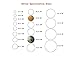 6PCS Fashion Round Plastic Scarves Buckle Silk Sarf Clasp Clips Clothing Ring Wrap Holder fo Neckerchief(Color Random) (2.5cm/1inch)