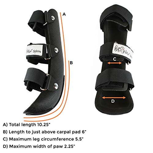 5 Walkin+Splint+Canine+Inserts+Custom