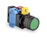 Idec HW1L-M1F10QD-G-24V Illuminated Push-Button