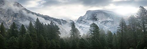 AT6062 Tree Forest Woods Mountain Winter Snow Landscape Panorama Online Print Services Poster 24x72" Canvas Only