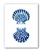 Blue Seashells Decor Art Prints Set of 6 unframed Beach Coastal Decor Wall Art