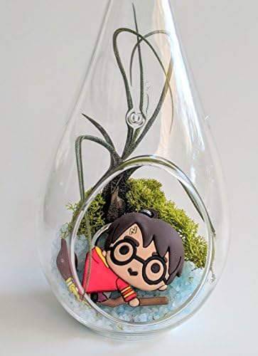 Harry Potter Terrarium Kit with Harry Potter Keychain Figure 7" Glass Teardrop Terrarium Tillandsia Air Plant Fairy Garden Custom Gift Box Thanks Happy Birthday Present