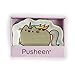 Enesco Pusheen by Our Name is Mud 