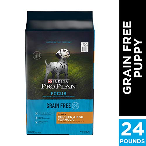 What's the best dog food for Collies? — Petabolix