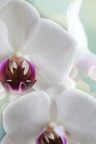 Orchid Notebook by Wild Pages Press