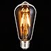 Vintage Edison Light Bulb,Oak Leaf 4W ST64 Antique LED Bulb Lights 40W Equivalent,E26 2200K Warm White 400lm,Amber Glass