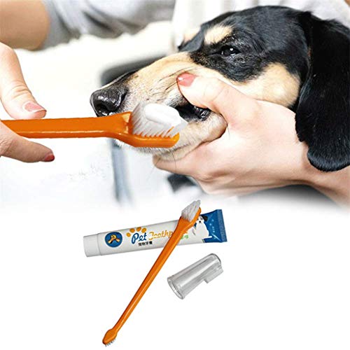 Dog Dental Care Tartar Control Kit for Dogs - Toothpaste, Toothbrush & Fingerbrush - Pet Cat Toothbrush Puppy Dog Finger Toothbrush - Reduces Plaque and Tartar Buildup - 4 Piece Kit (Beef Flavor)