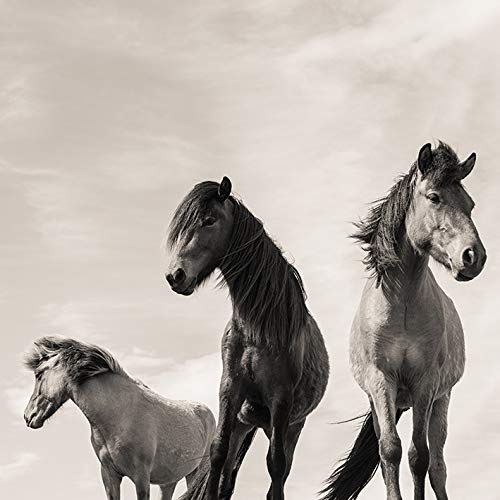 Carys Jones Canvas, Multi-Colour, 40 x 40 cm