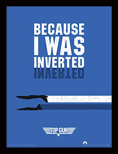 Top Gun (Inverted 30x40 Framed Memorabilia