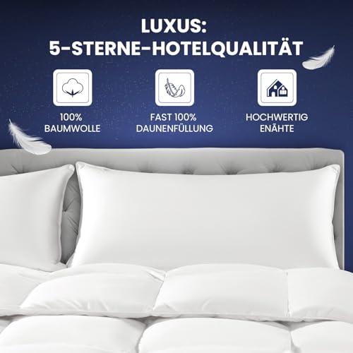 DEITAS Down Pillow - 3-Chamber Design for Optimal Neck Support, Soft & Breathable 100% Cotton Cover, Bed Pillow Perfect for Allergy Sufferers and Children (White, 80 x 80 cm (Pack of 1)