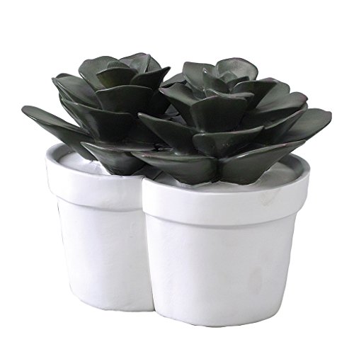 Time Concept Bibury Resin Liberty Farm Cactus Bookends Organizer - Book Organizing Tool