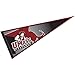 UMASS Pennant Full Size Felt
