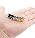FIBO STEEL 3 Pairs Stainless Steel Mens Stud Earrings for Women Ear Piercing Plugs Tunnel