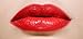 Luxury Lipstick Gift Set 5pcs. MADE IN U.S.A.
