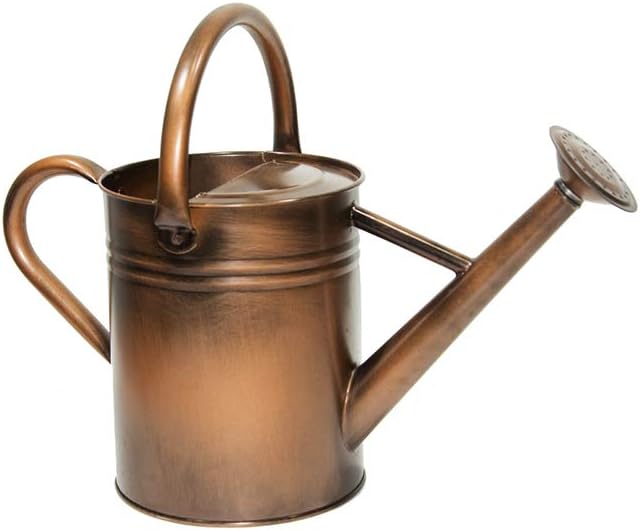 yourjoy Steel Watering Can Sliver Galvanized Steel Watering Can with Copper Accents, Removable Rosette-Diffuser, One-Gallon : Garden & Outdoor
