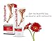 Varikosette cream 2 + 1, treatment superficial varicose veins